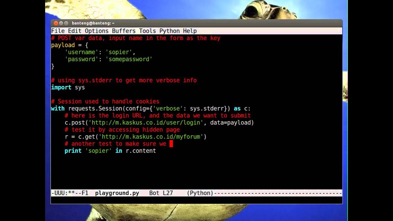 install python 3.8 ubuntu
